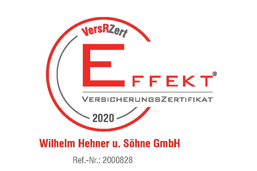 EFFEKT-VersRZert-Formular